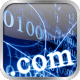 Domain Registration 域名登記